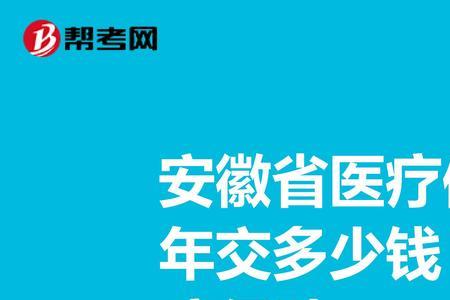 安徽省医疗保险交费怎么交