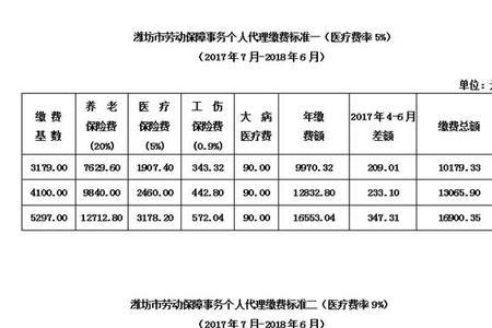 2001年至2010年社保可以补交吗