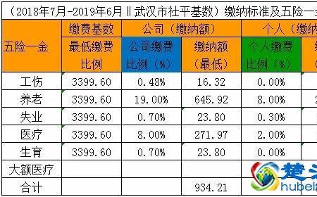 五险个人缴纳总数怎么看