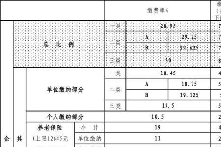 佛山市2005年社保个人缴费是多少