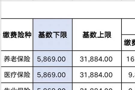 重庆2022年社保个人缴费标准表