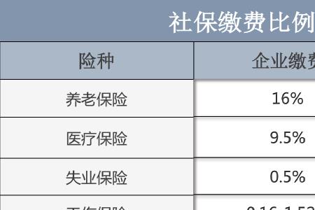 上海怀孕社保断缴如何补救