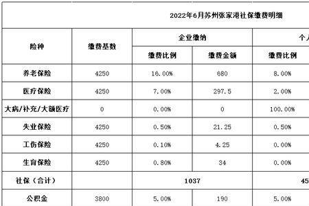 苏州个人代缴社保怎么交