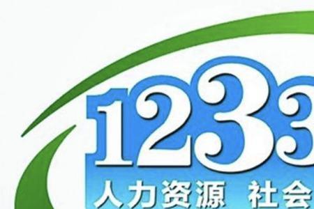 12333打过去应该说什么