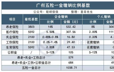 东莞自由职业社保可以买哪几种