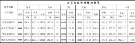 农村户口如何打印社保清单