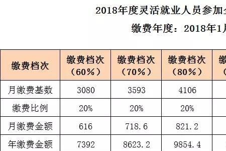 佛山市灵活就业人员缴费标准