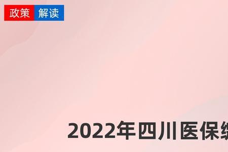 农村医保网上如何缴费四川