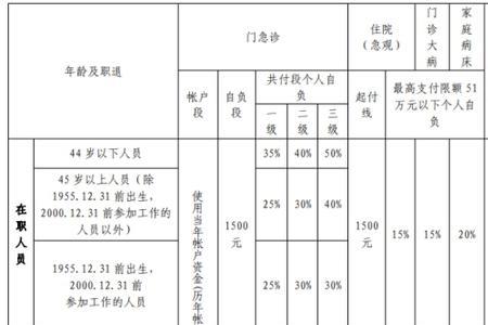 上海医保门槛费规定