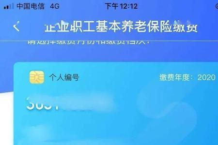 四川e社保苹果为什么进不去