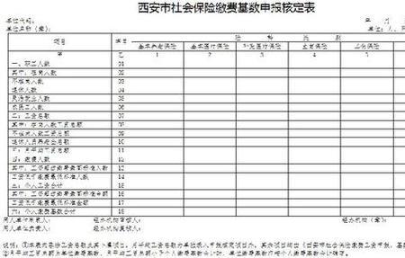 单位补交社保每月交多少费用