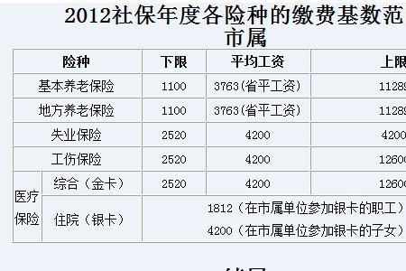 黑龙江省从哪年开始缴纳社保的