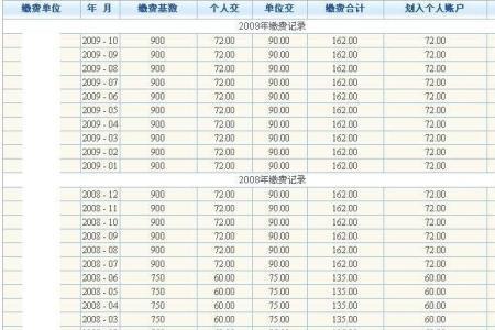 上海社保缴纳记录是什么样子的