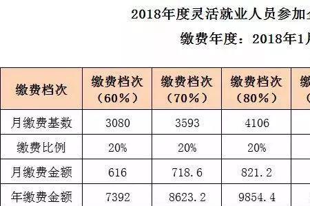 重庆灵活就业社保20年多少钱