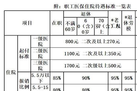 职工医保意外险最高报多少