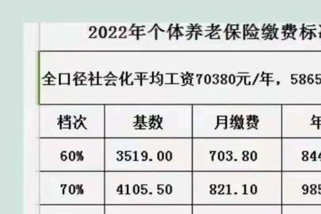 新乡市2022灵活就业缴费基数