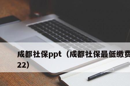 成都社保可以自己缴纳吗