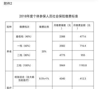 成都个人社保最迟几号交