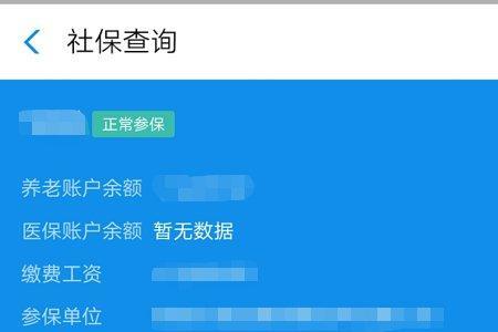 支付宝怎么查询社保余额