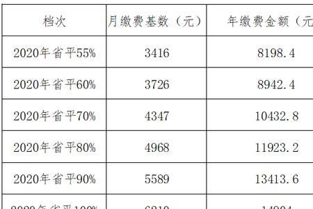 山西灵活就业2022年社保缴费时间