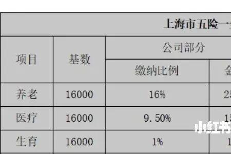 一倍社保什么意思