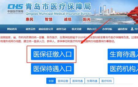 青岛医保怎么网上缴费