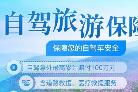 平安出行险388元是保个人还是全车