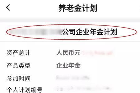 北京企业年金账户余额怎么查