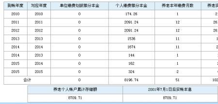 养老保险缴费类型19是什么意思