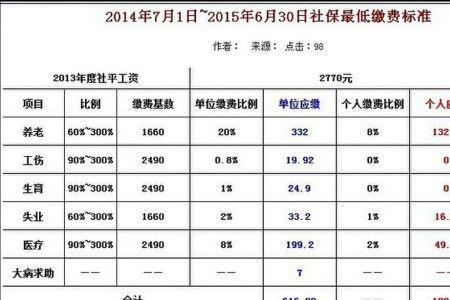 社保个人缴费258.8元是啥意思