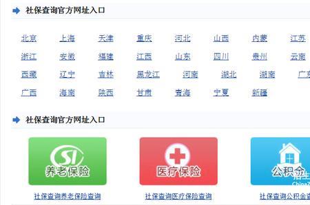 12333新农合网上查询什么信息