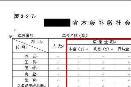 12月补缴社保什么时候能查到记录