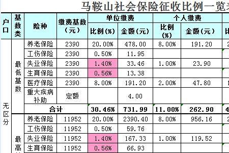 安徽五险一金可以自己缴纳吗