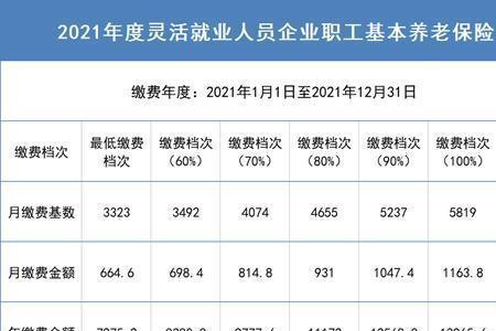 公司交的养老金属于什么险种