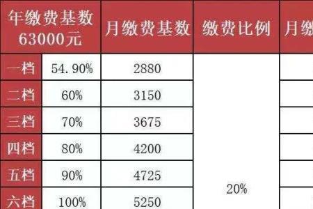 安徽灵活就业人员社保缴费标准