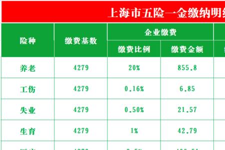 社保交19年和交20年是怎么算的