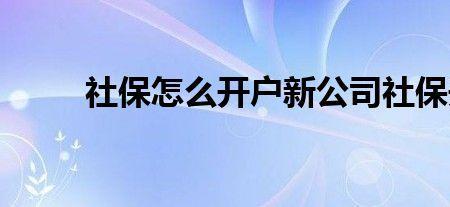 新公司买社保一般多久可以查到