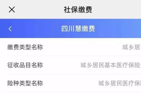 2023年德阳医保缴费标准