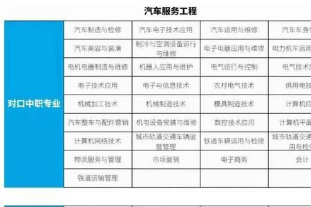 16岁以上中专生可以报考什么证书