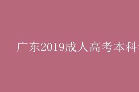 成人高考能直接报大专和本科吗