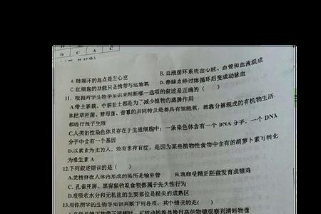 会考历史考b对考大学有影响吗