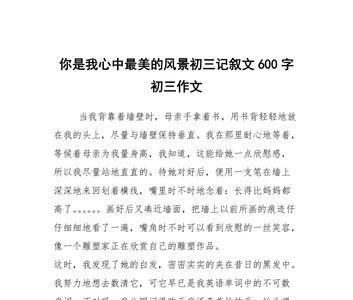 《那一抹色彩》记叙文600字