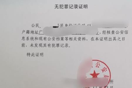 有犯罪可以开无犯罪证明书吗