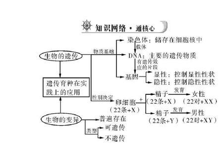 遗传和变异的实质