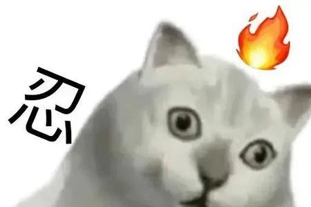 八嘎猫是什么梗